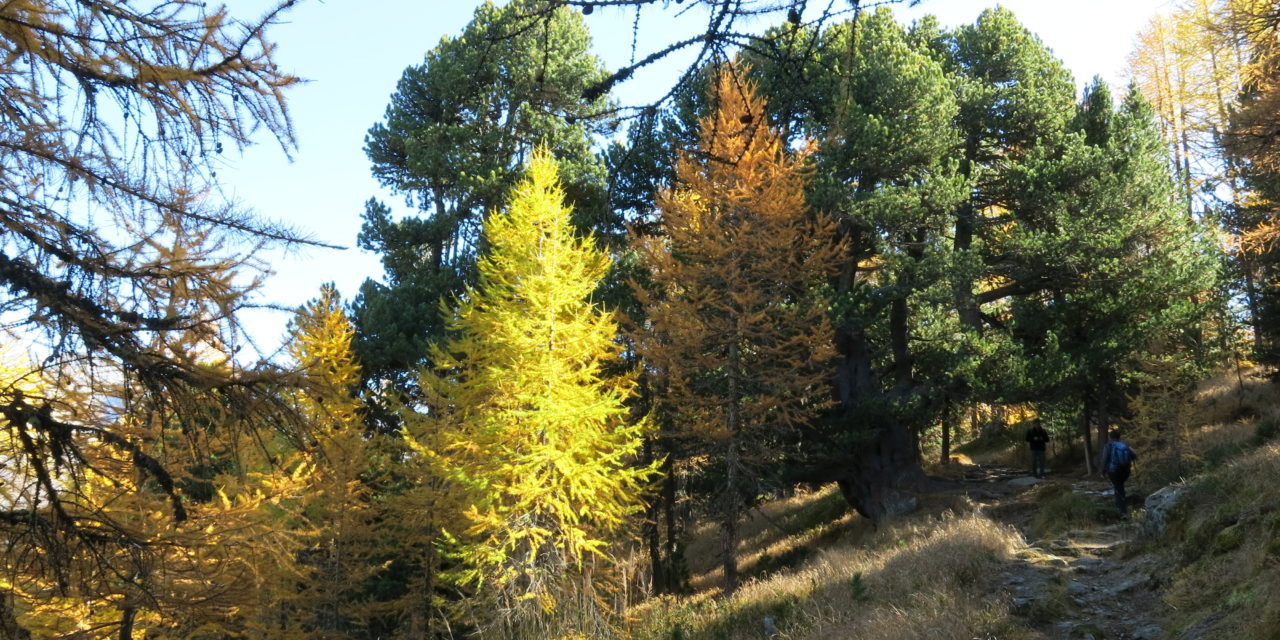 Poème Dautomne Plume Du Dimanche